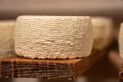 Queso tierno recién cortado